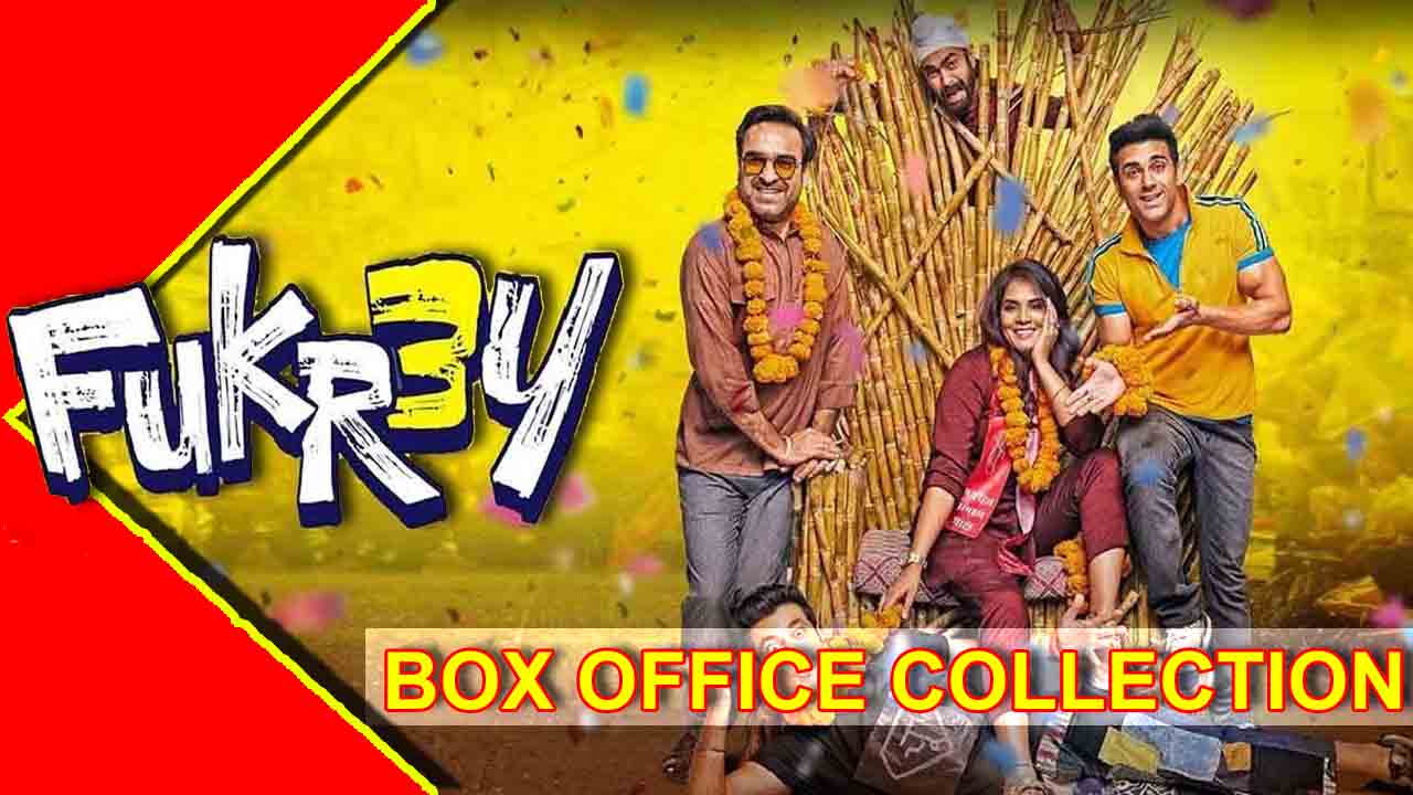 Fukrey 3 Box Office Collection : बॉक्स ऑफिस का कलेक्शन आपको रुला देगा