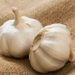 Garlic Benefits