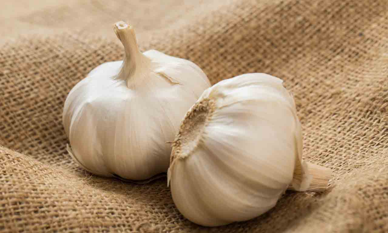 Garlic costs लहसुन की कीमत में भारी वृद्धि; भामाशाह बाजार में एक क्विंटल की कीमत 21,000 रुपये तक हो सकती है.