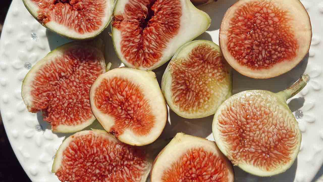 soaked figs