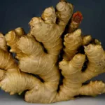 Ginger Benefits