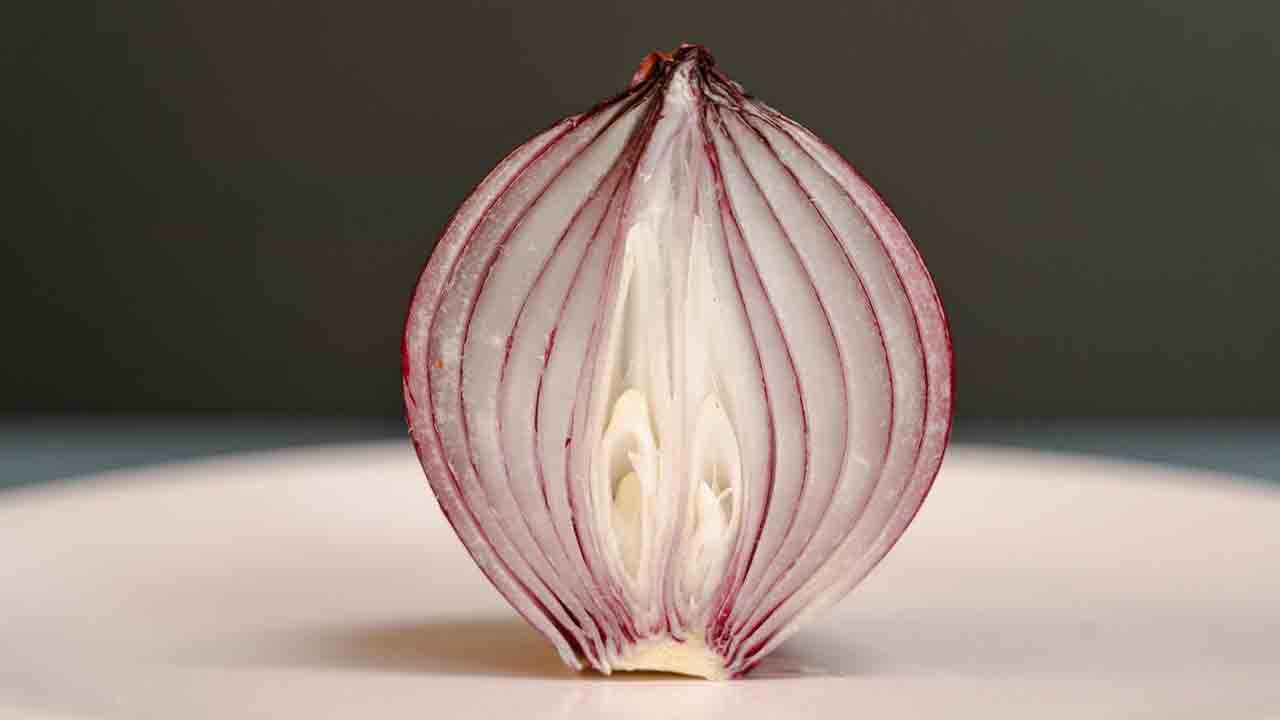 Onion Price Today : प्याज की कीमत क्या है ? मोदी सरकार सामान्य से आधे से भी कम दाम पर प्याज बेच रही है.