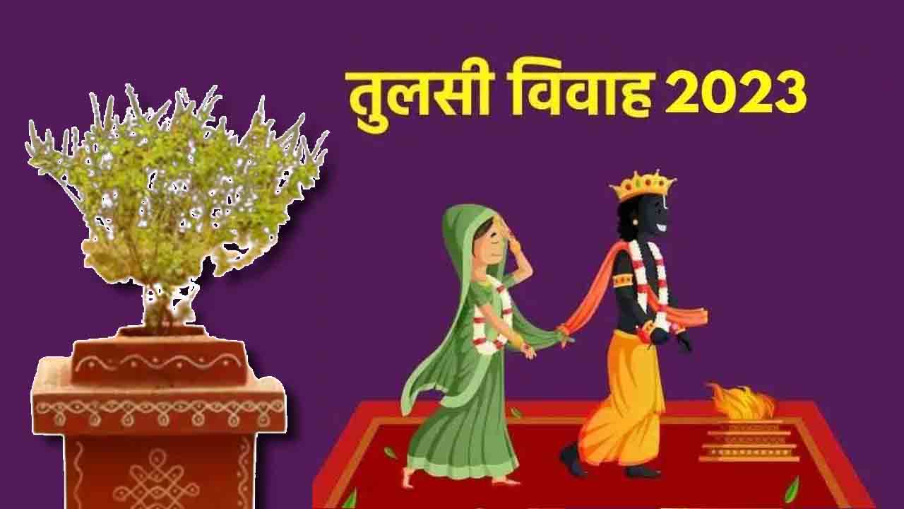 Tulsi Vivah 2023 उपाय : तुलसी विवाह पर अपनाएं ये उपाय, सुखी रहेगा आपका दांपत्य जीवन