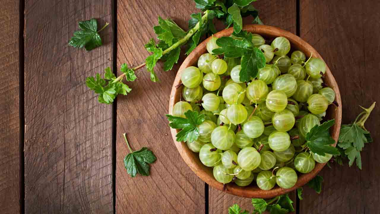Amla salad : आंवला सलाद के स्वास्थ्य लाभ और सरल रेसिपी के बारे में जानें।