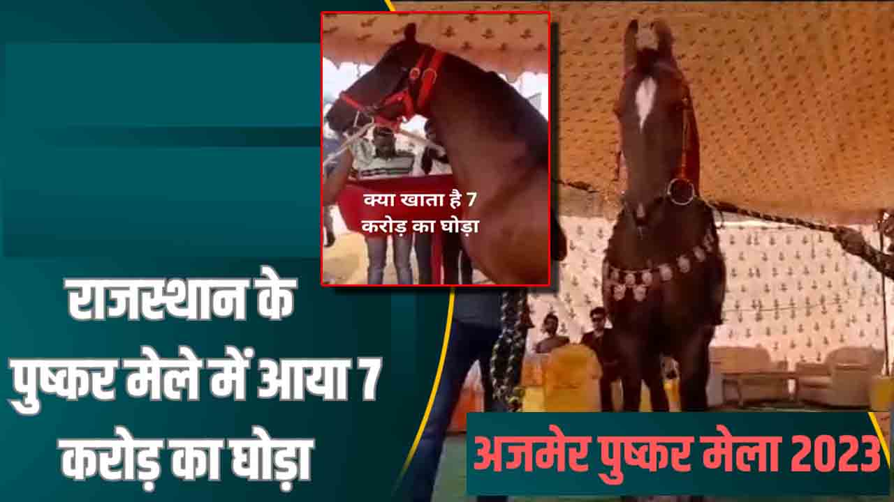 pushkar fair 7 crore horse