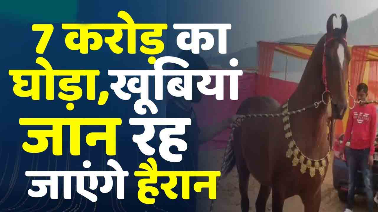 Pushkar Fair : कीमत जानकर उड़ जाएंगे होश रोल्स रॉयस कार से भी महंगा पुष्कर मेले में आया ये घोड़ा