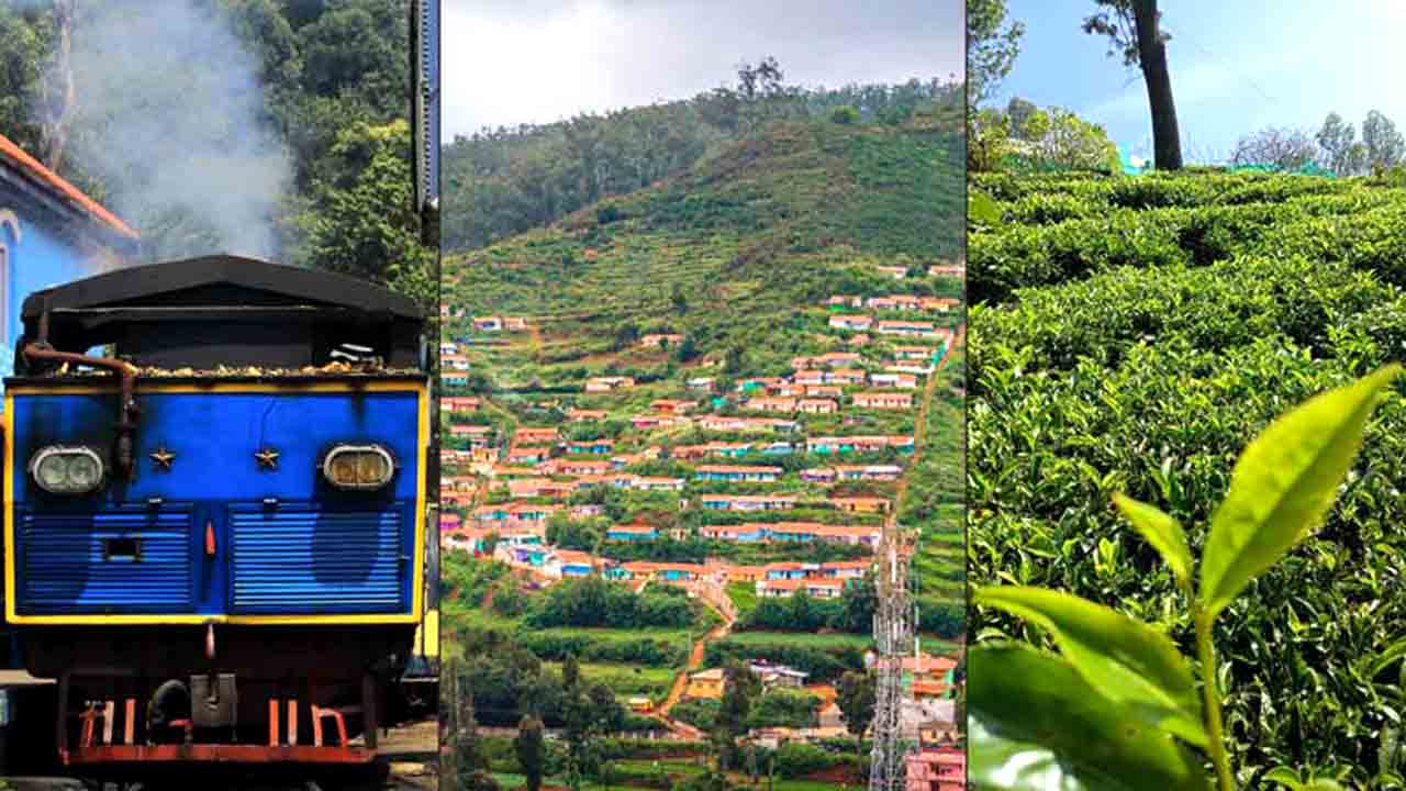 Archies film Location ooty