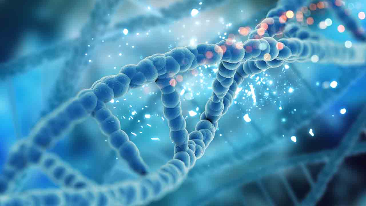 DNA क्या डीएनए परीक्षण आपके लिए आहार योजना बना सकता है ?