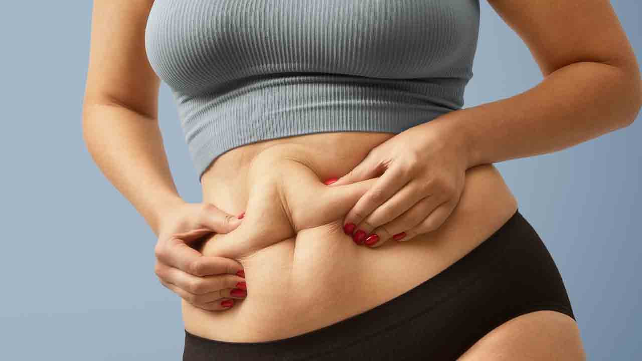 Fat – हमें वसा की आवश्यकता क्यों है ?