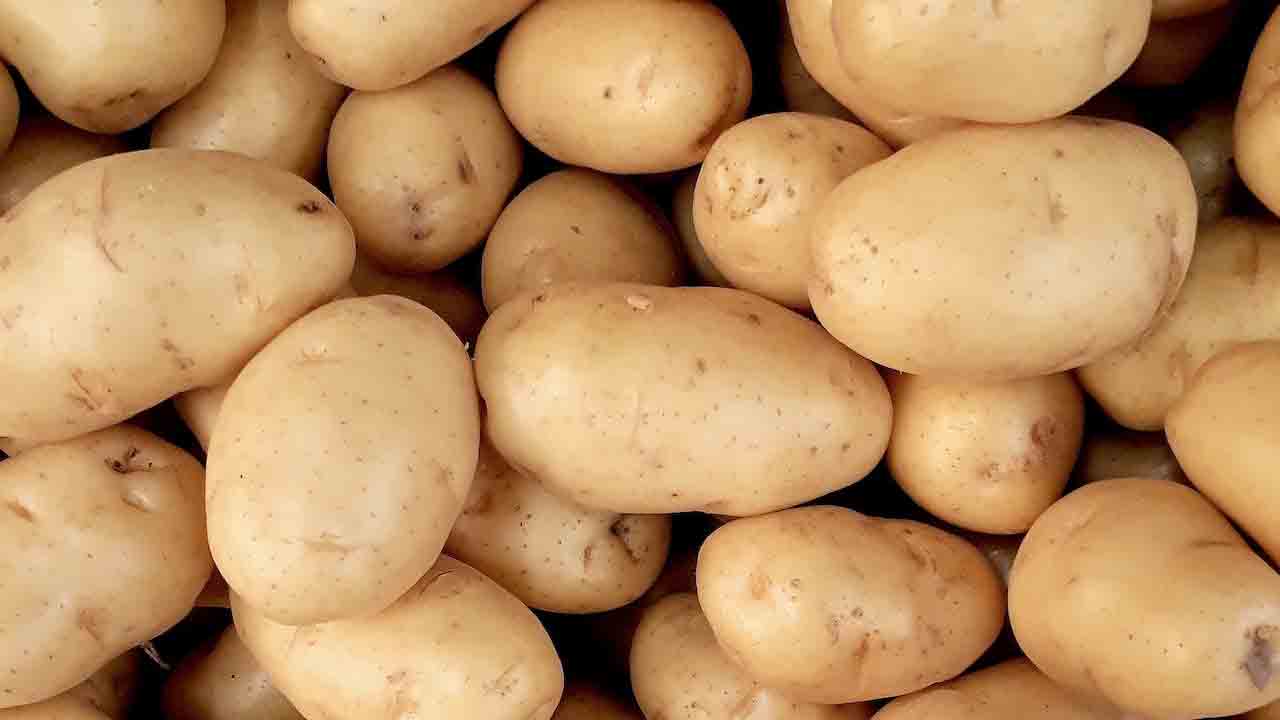 potatoes better than rice ?
